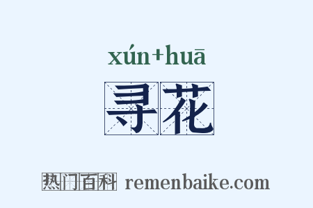寻花是什么意思的图片